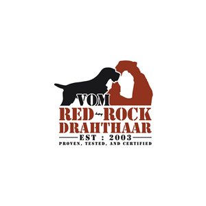 Logo Design by Shahriar H for this project | Design: #34845915