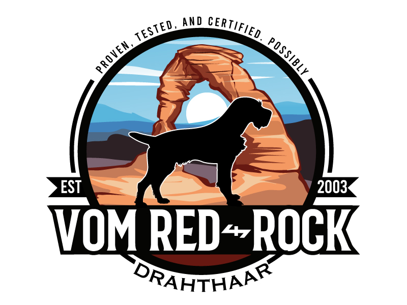 Logo Design by Dream Logo Design for this project | Design: #34859218