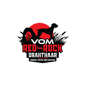 Logo Design by prodesigns99 for this project | Design: #34846613