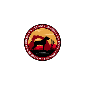 Diseño de Logo por sayabram para este proyecto | Diseño #34857673