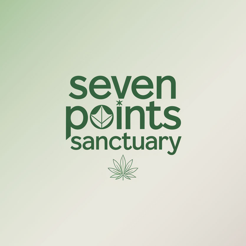 Diseño de Logo por DesignVerse777 para este proyecto | Diseño #34874066