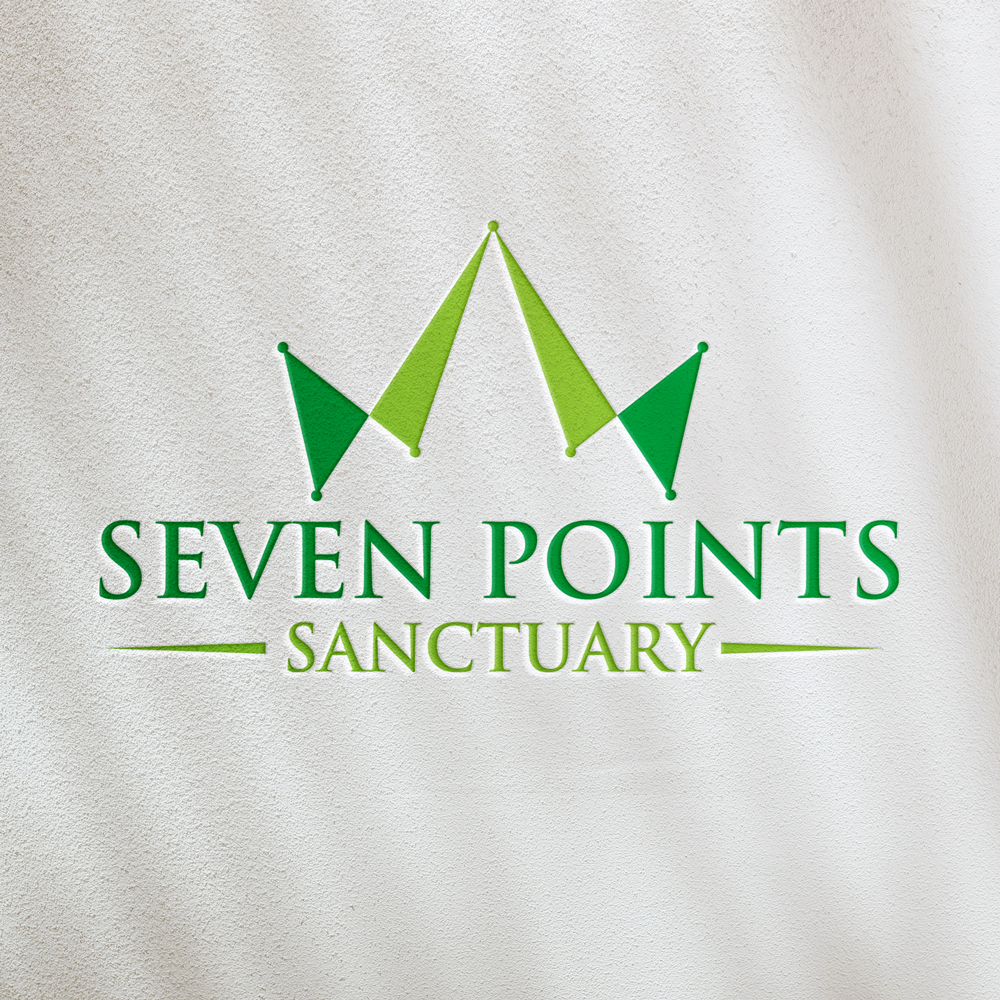 Logo Design by Krold IT Solutions for this project | Design #34855115