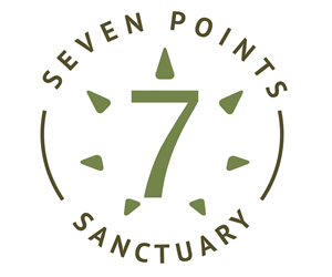 Logo Design by Yewhen