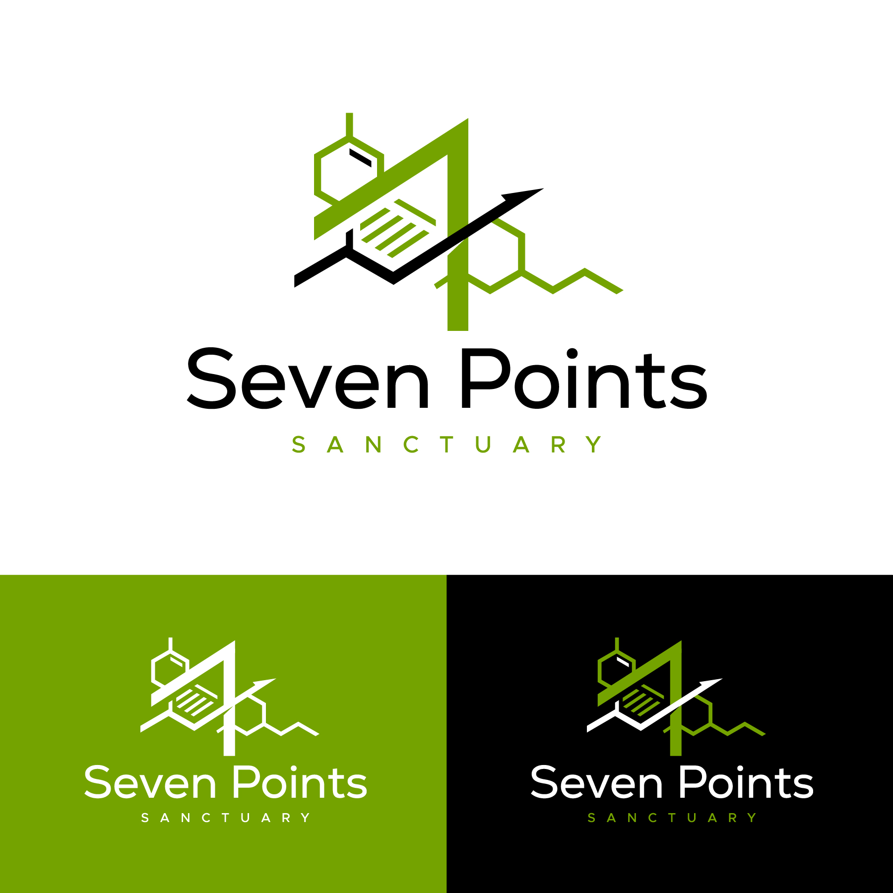 Diseño de Logo por debdesign para este proyecto | Diseño #34866609