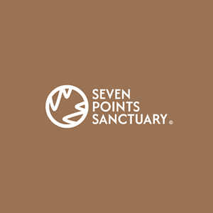 Logo Design by Yann Aaron