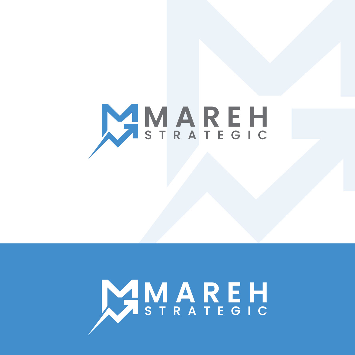 Logo Design by Shahriar H for this project | Design #34852313