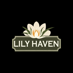Logo Design by bute