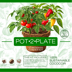 Label Design by elveneclipse for this project | Design: #34869540