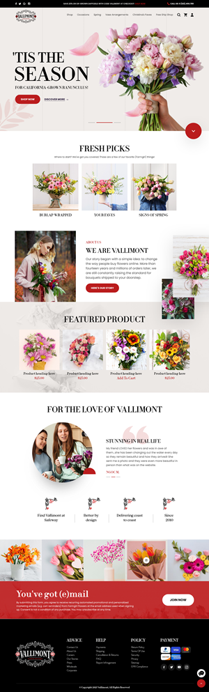 Web Design by nzdesigners