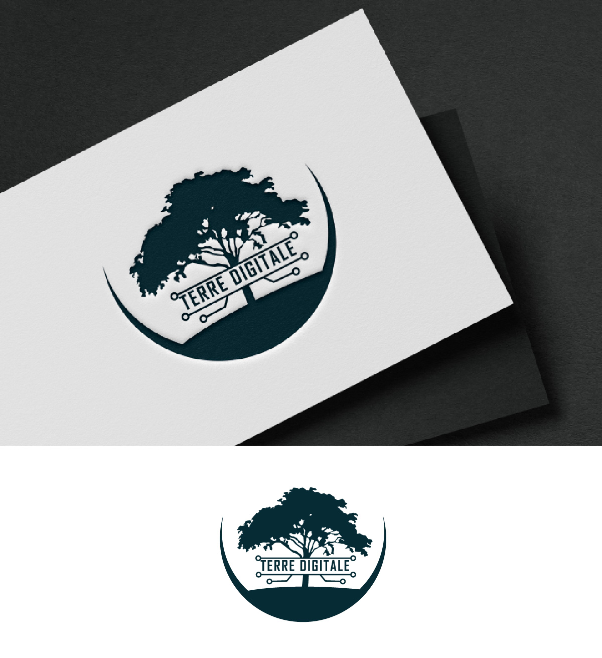 Logo Design by fly  design for this project | Design #34883850