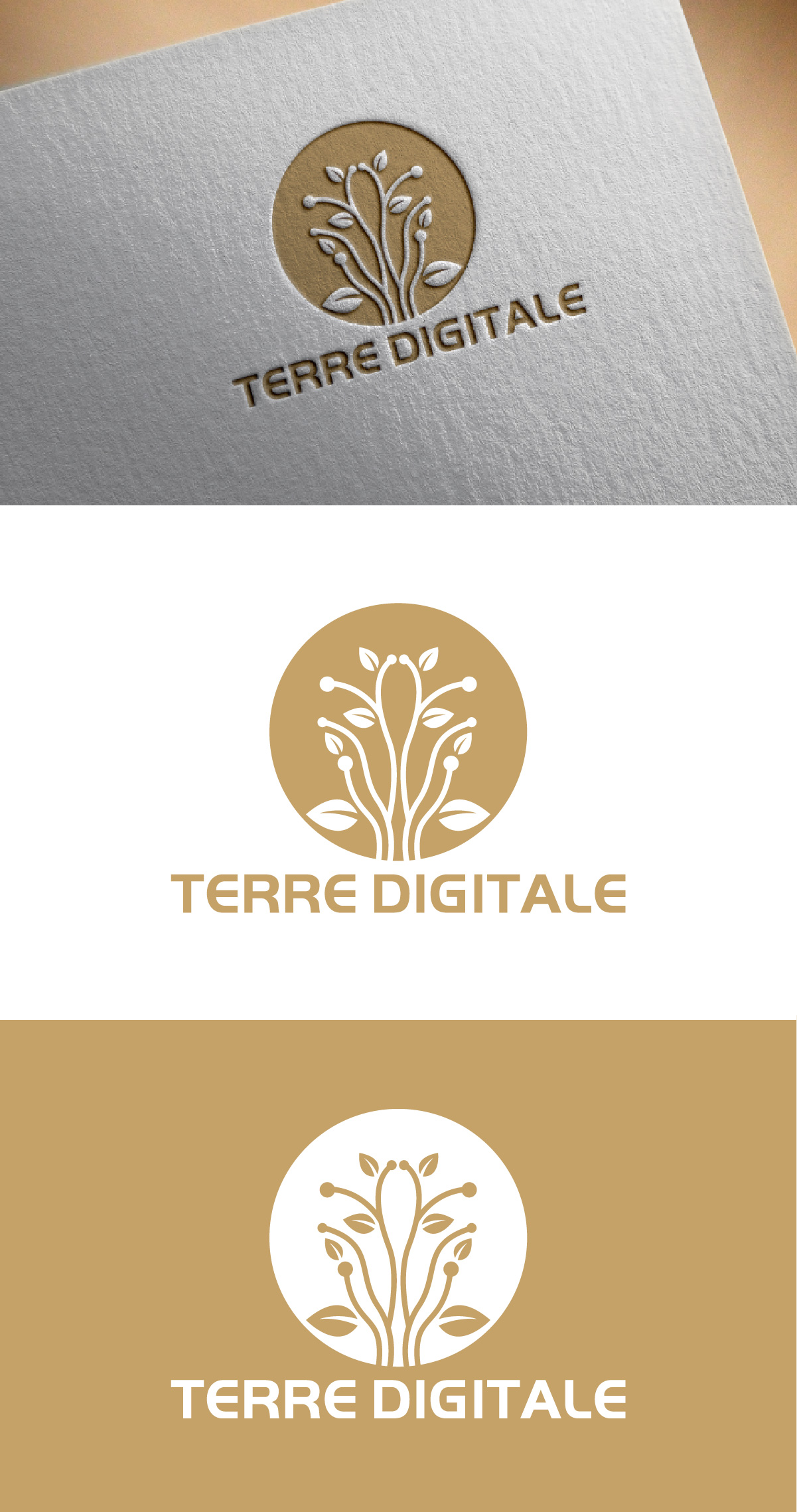 Logo Design by fly  design for this project | Design #34883852