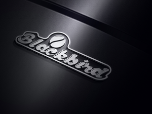 Logo Design by jessimorge for this project | Design: #34882973