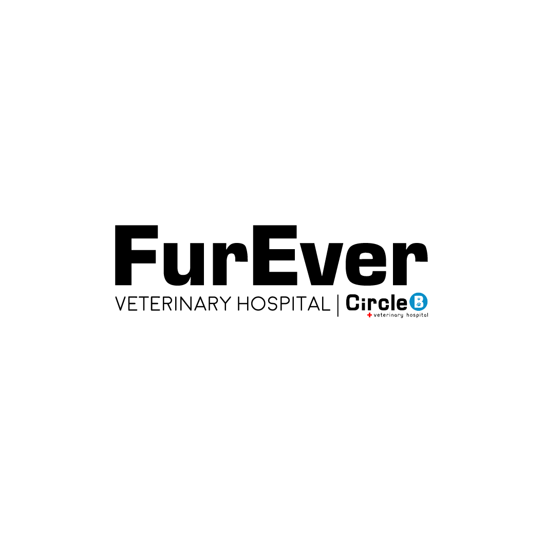 Logo Design by Deer Studio for this project | Design #34878915
