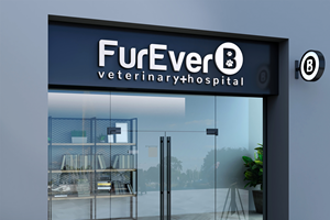 Logo Design by Raton2010