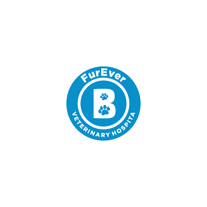 Logo Design by ni9 for this project | Design #34913304