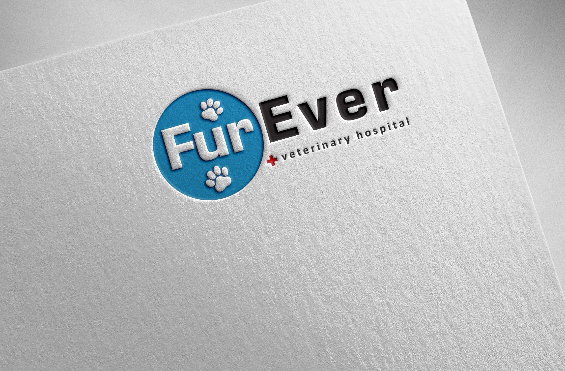 Logo-Design von Pilot_DesignR™ für dieses Projekt | Design #34893147