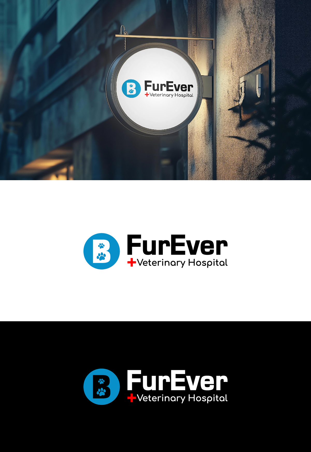 Logo Design by Barish Design for this project | Design #34925682