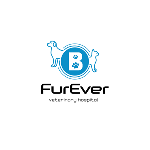 Logo Design by Gulya profi