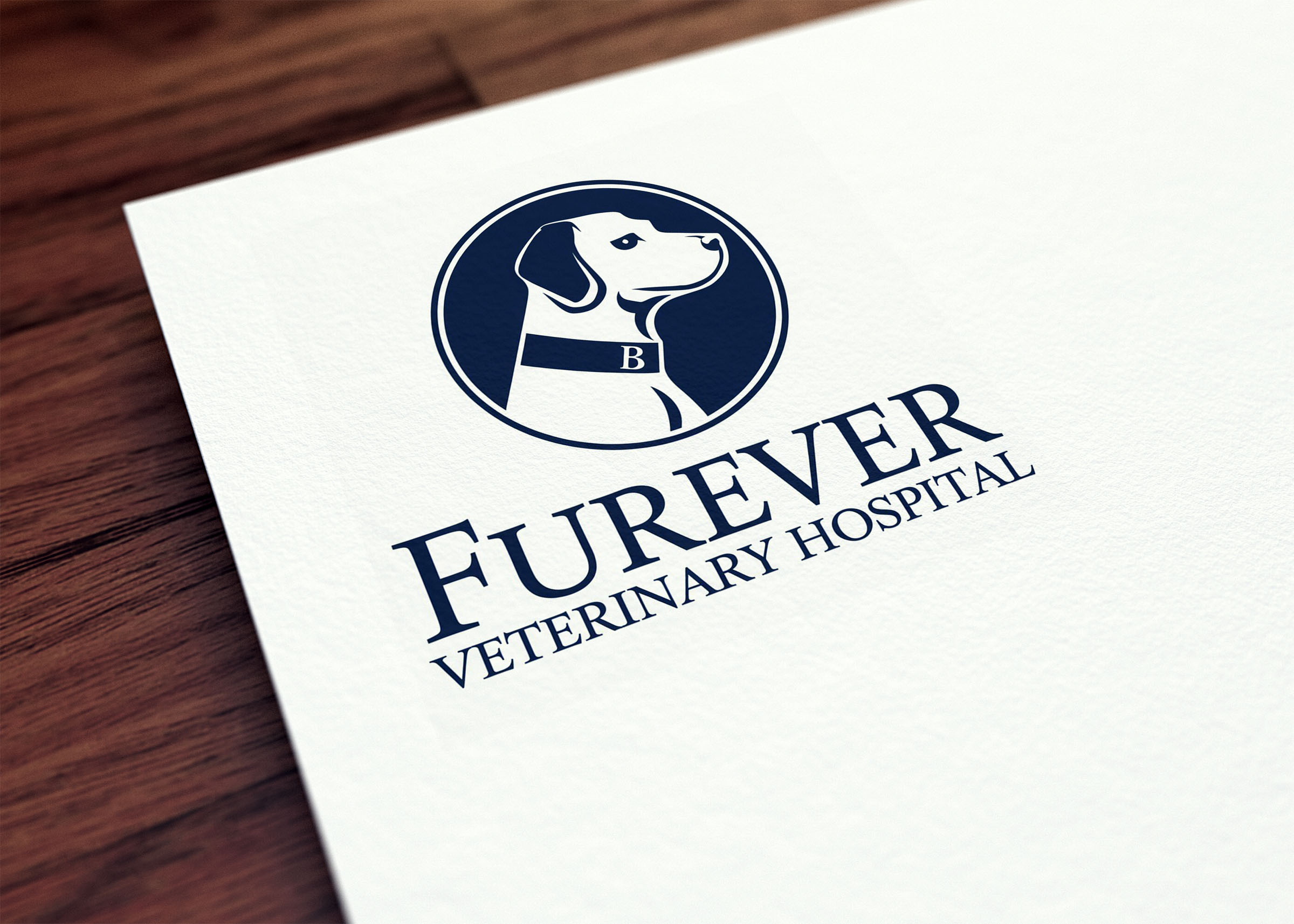 Logo Design by Majesty Design  for this project | Design #34880390