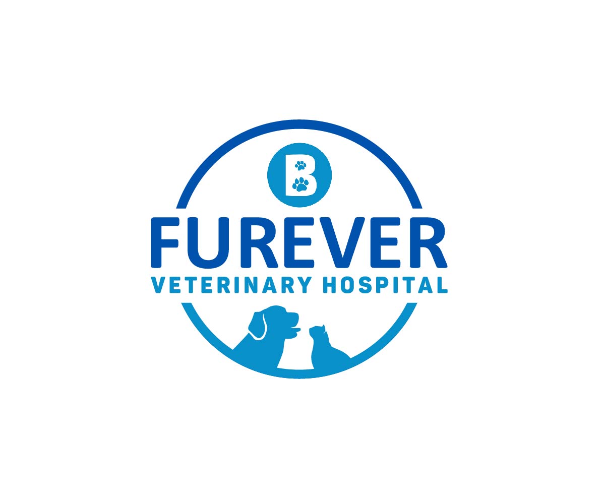 Logo Design by Ansh Design for this project | Design #34884058