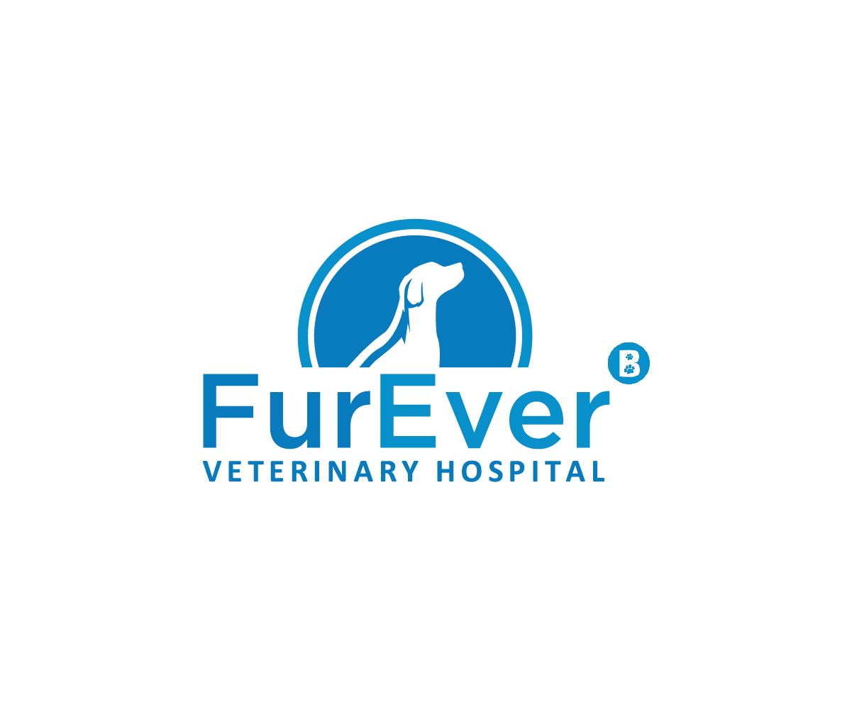 Logo Design by Ansh Design for this project | Design #34884059