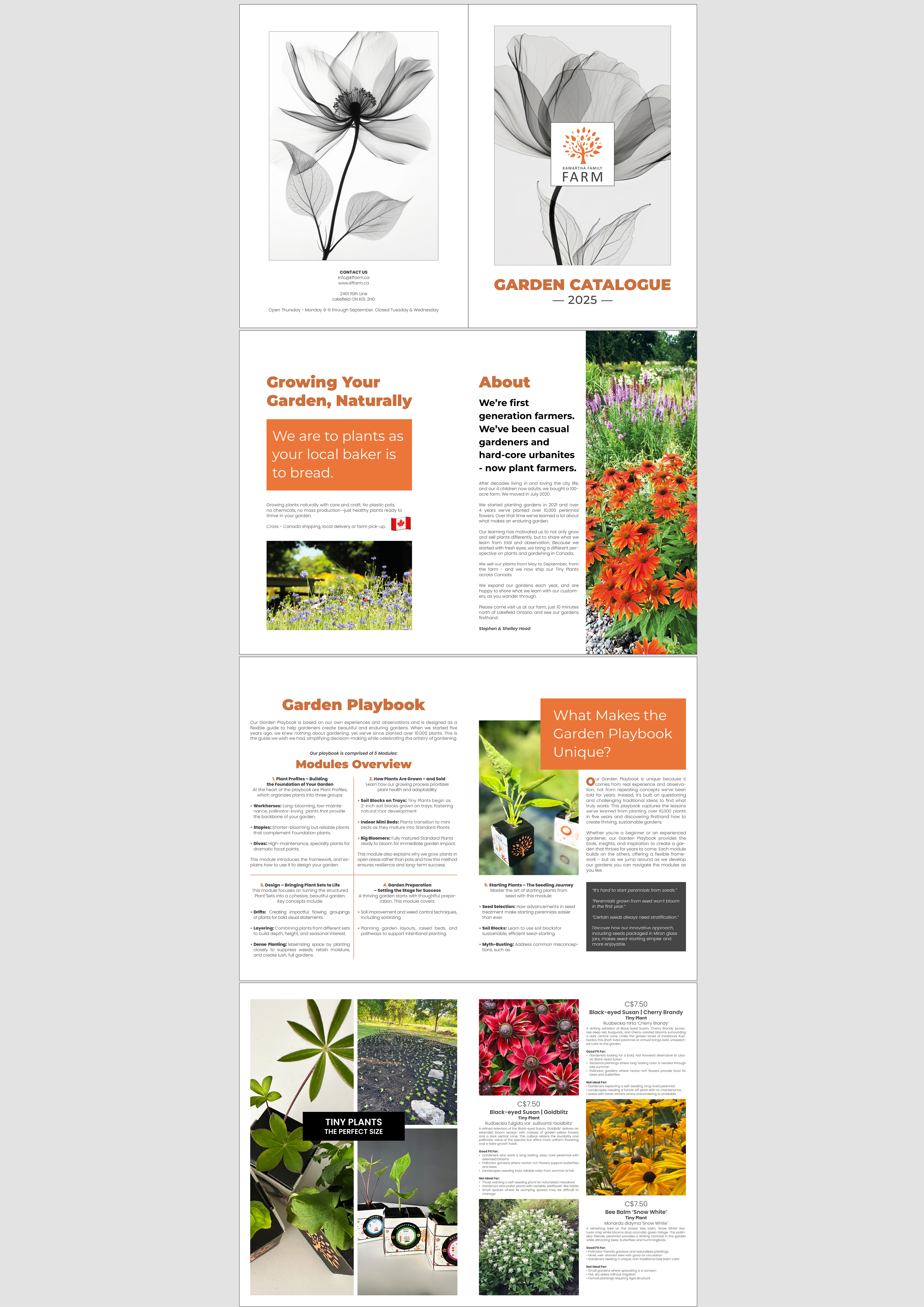 Catalogue Design by MarkoE for this project | Design #34904495