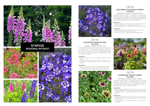Design de Catalogue par MarkoE pour ce projet | Design : #34912174