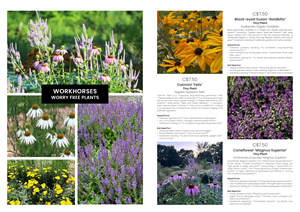 Design de Catalogue par MarkoE pour ce projet | Design : #34912176