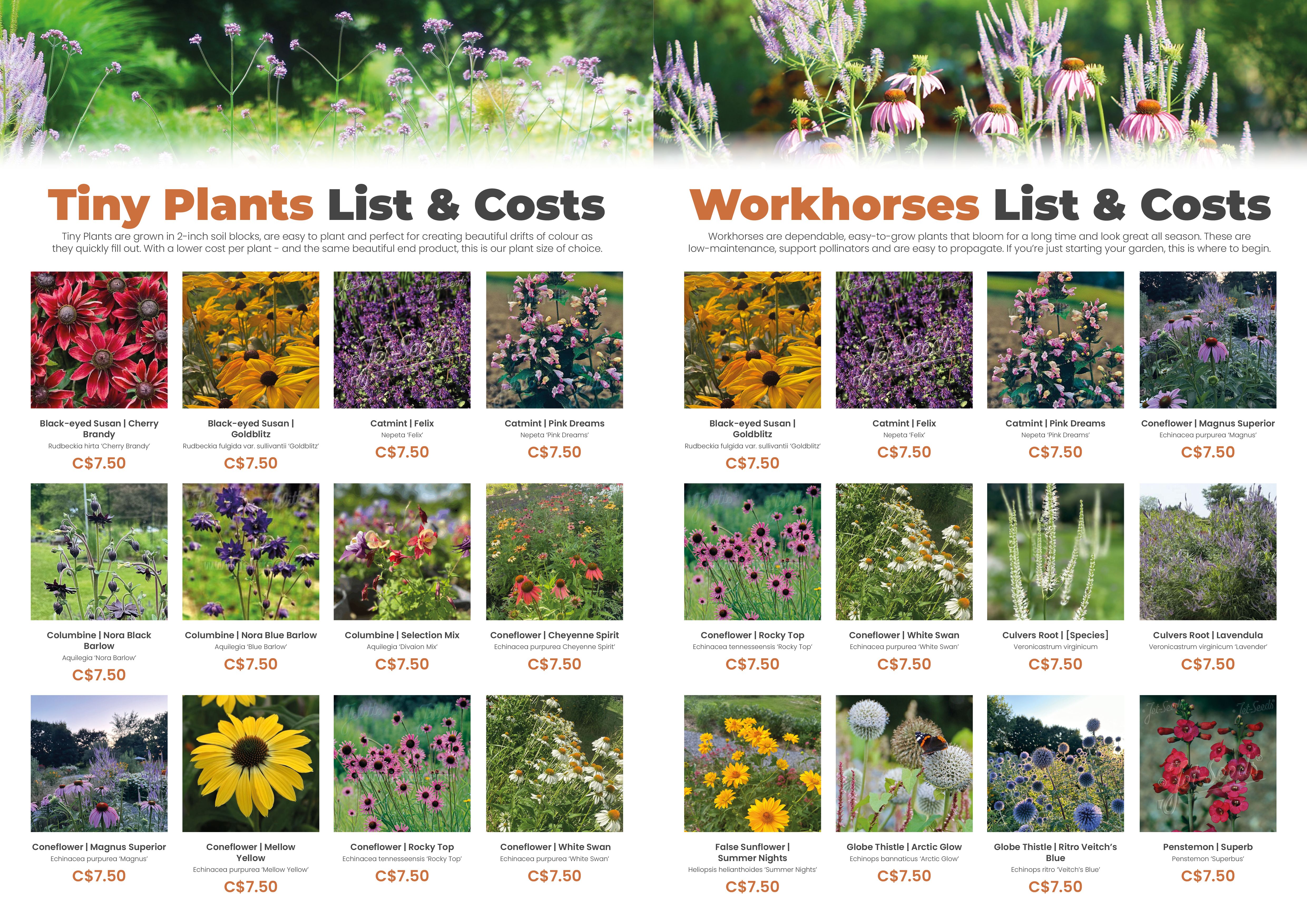 Catalogue Design by MarkoE for this project | Design #34912177