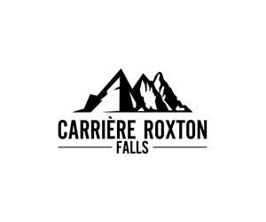 Logo Design by applefine