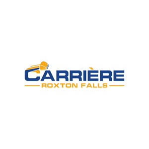 Logo Design by Veridian-studio