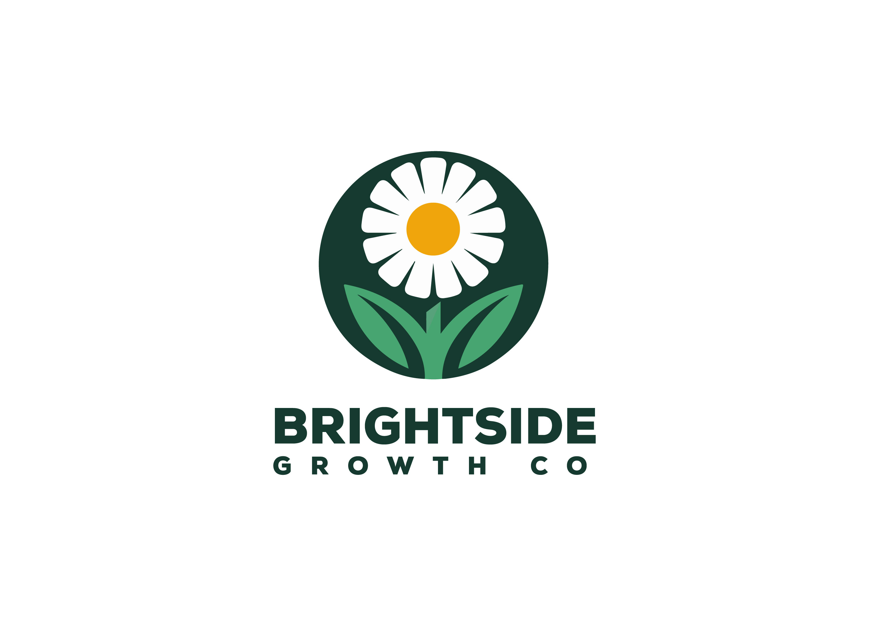 Logo Design by ArtFusion for this project | Design #34910036