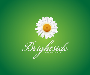 Logo Design by Raoul 2 for this project | Design #34909612