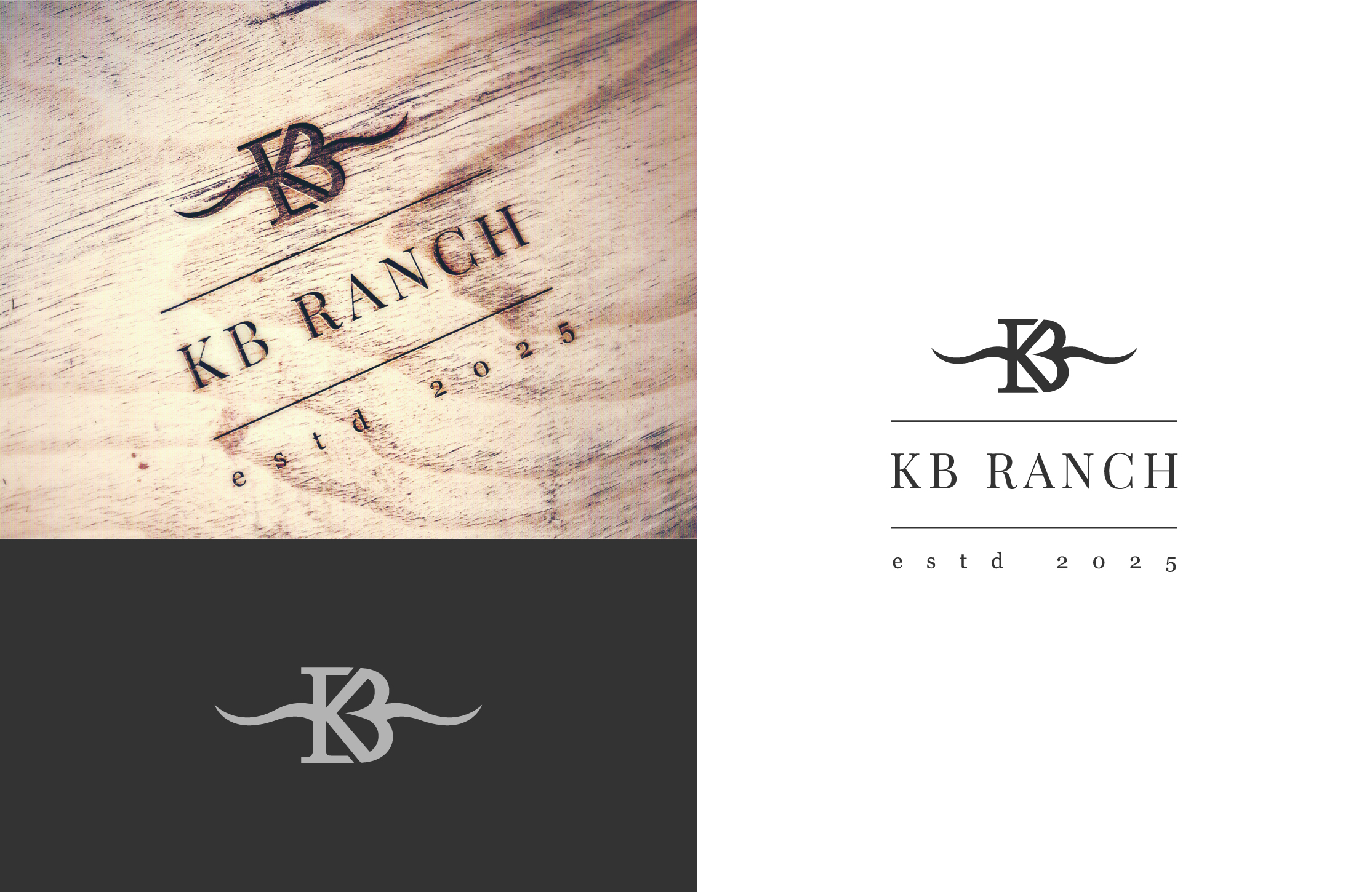 Logo Design by Designlancer for this project | Design #34928967