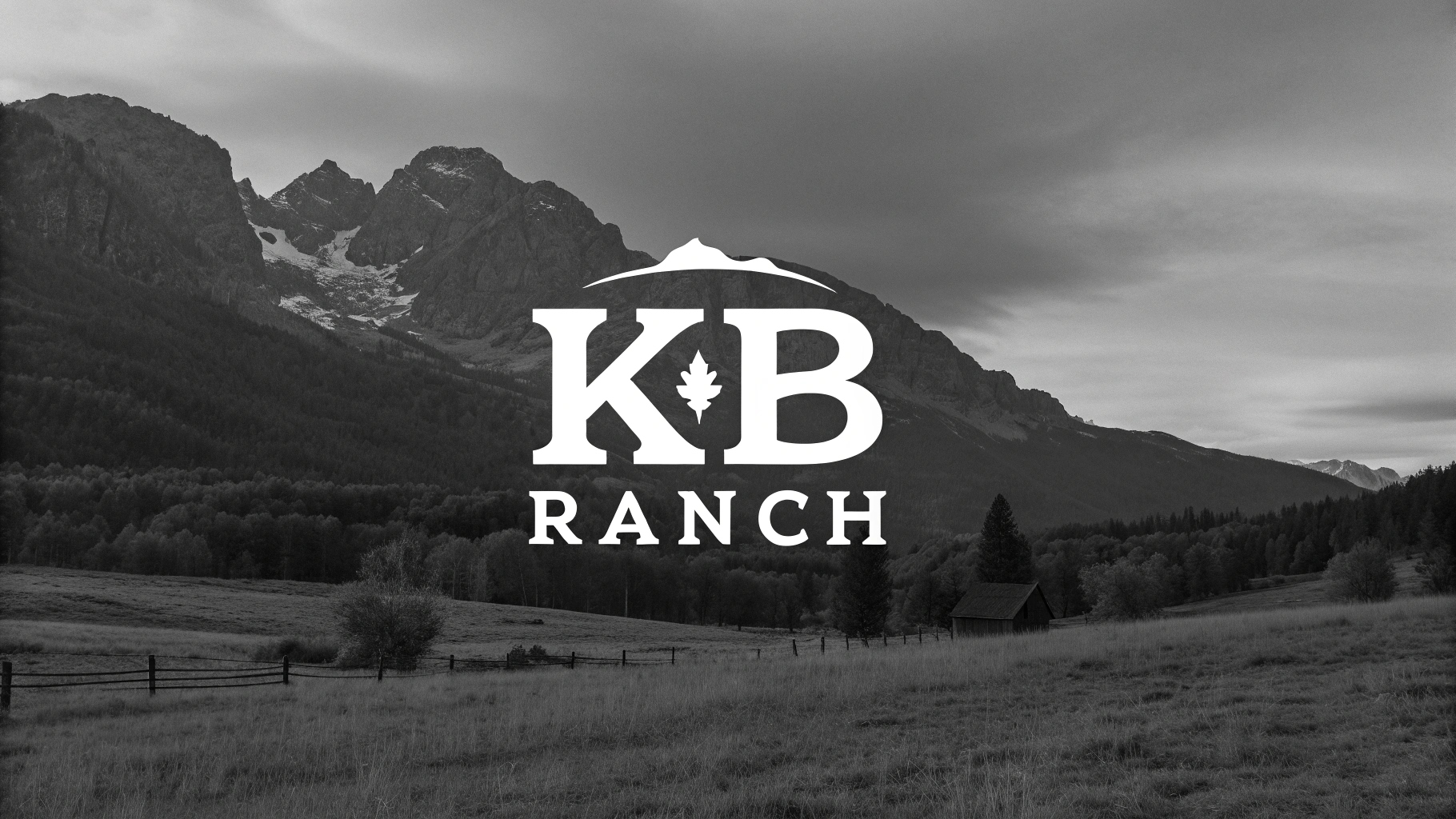 Diseño de Logo por HSL Brain para este proyecto | Diseño #34910673