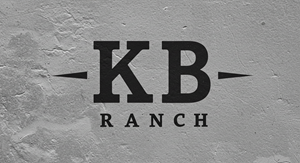 Design de Logo par HSL Brain pour ce projet | Design : #34910677