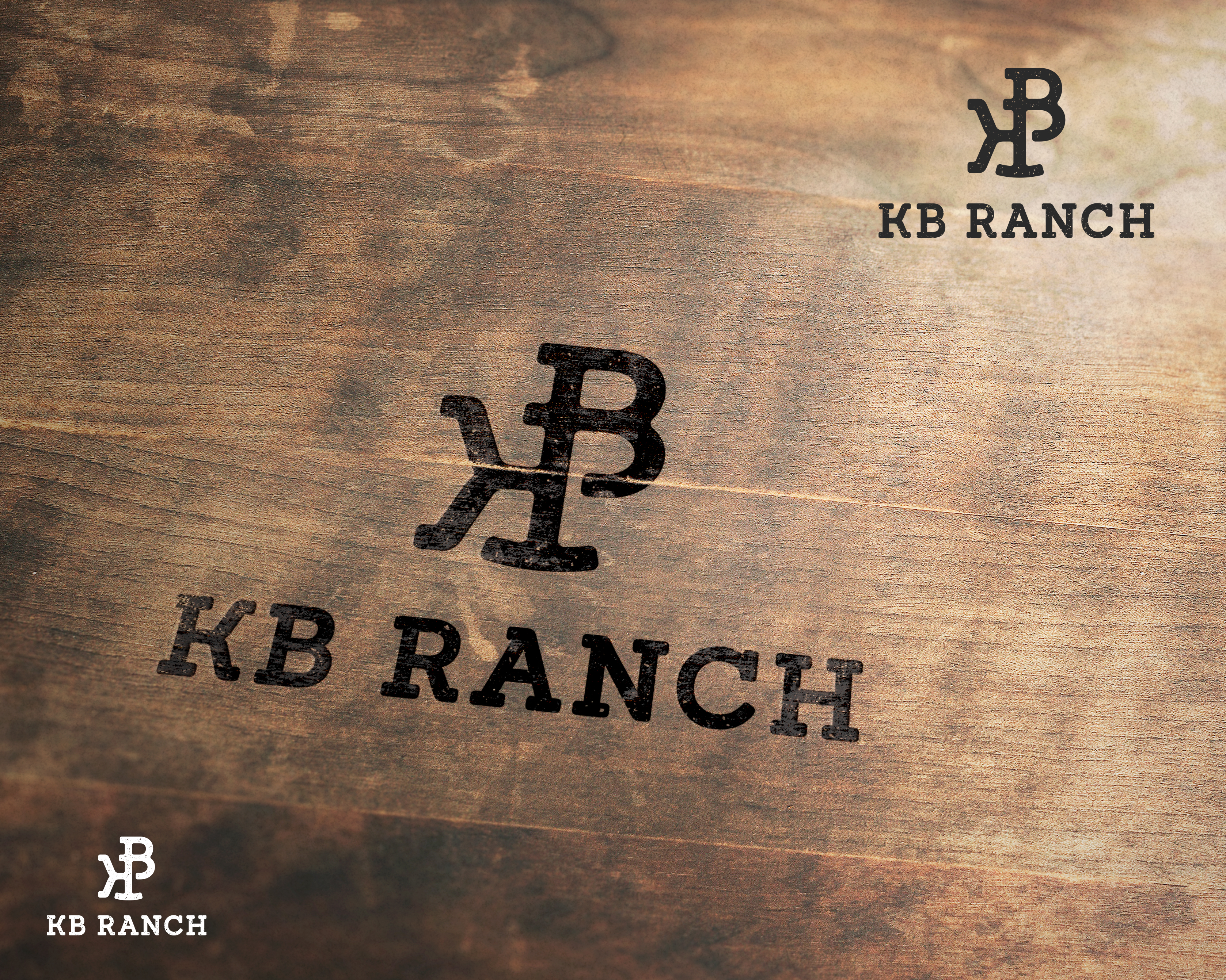 Logo Design by aquabomb26 for this project | Design #34910084