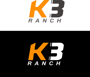Logo Design by Ahsan 12