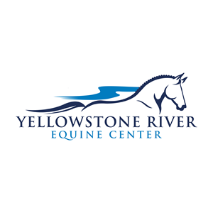 Logo Design by HF STUDIO
