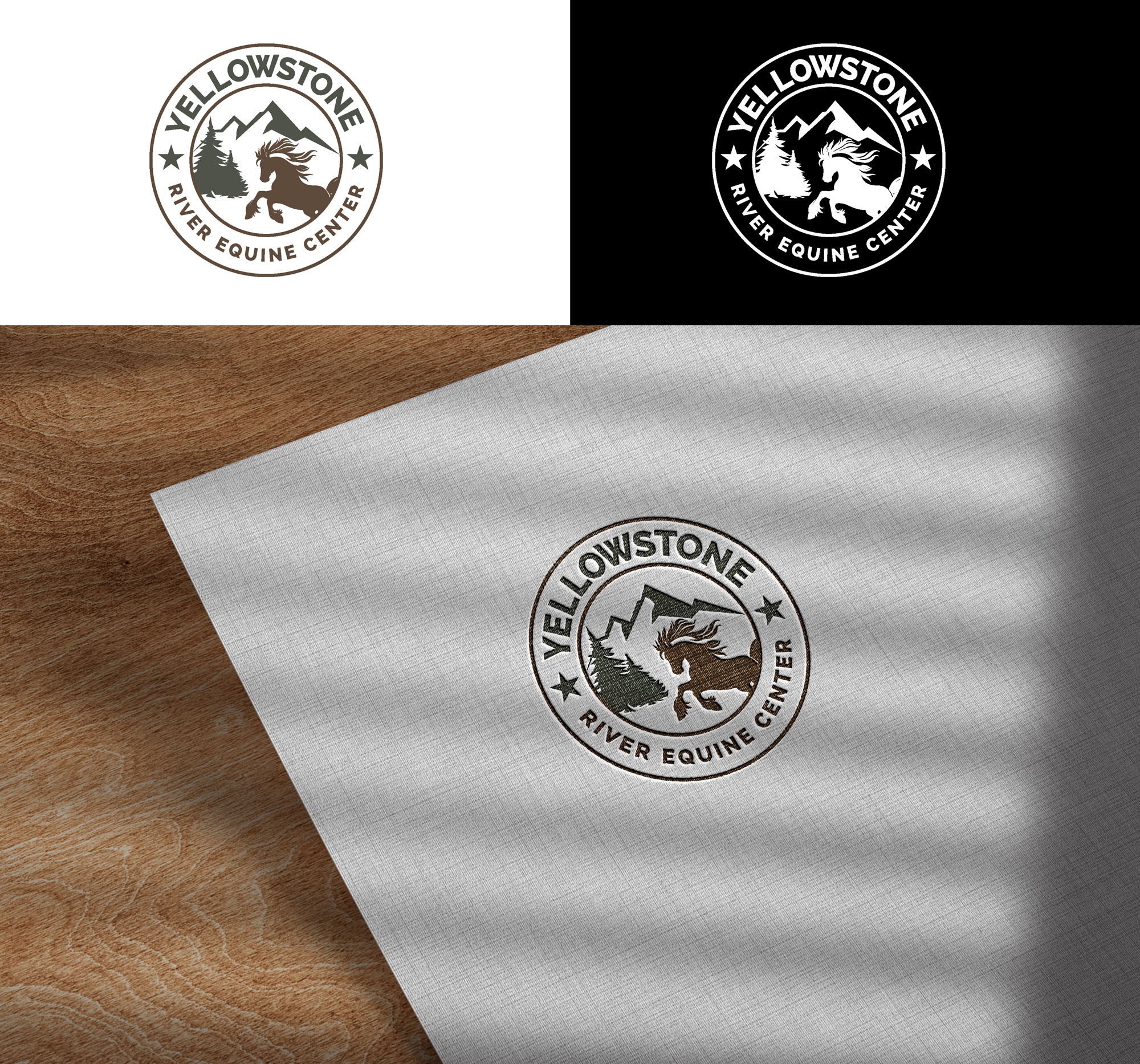 Diseño de Logo por RA-bica para All Things Positive | Diseño #34917548