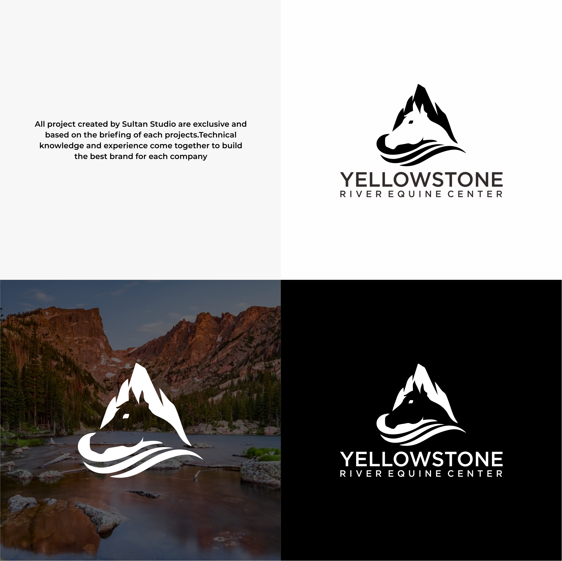 Logo Design by Sultan  Studio for All Things Positive | Design #34912065
