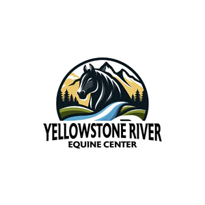 Logo Design by phraimsondesign
