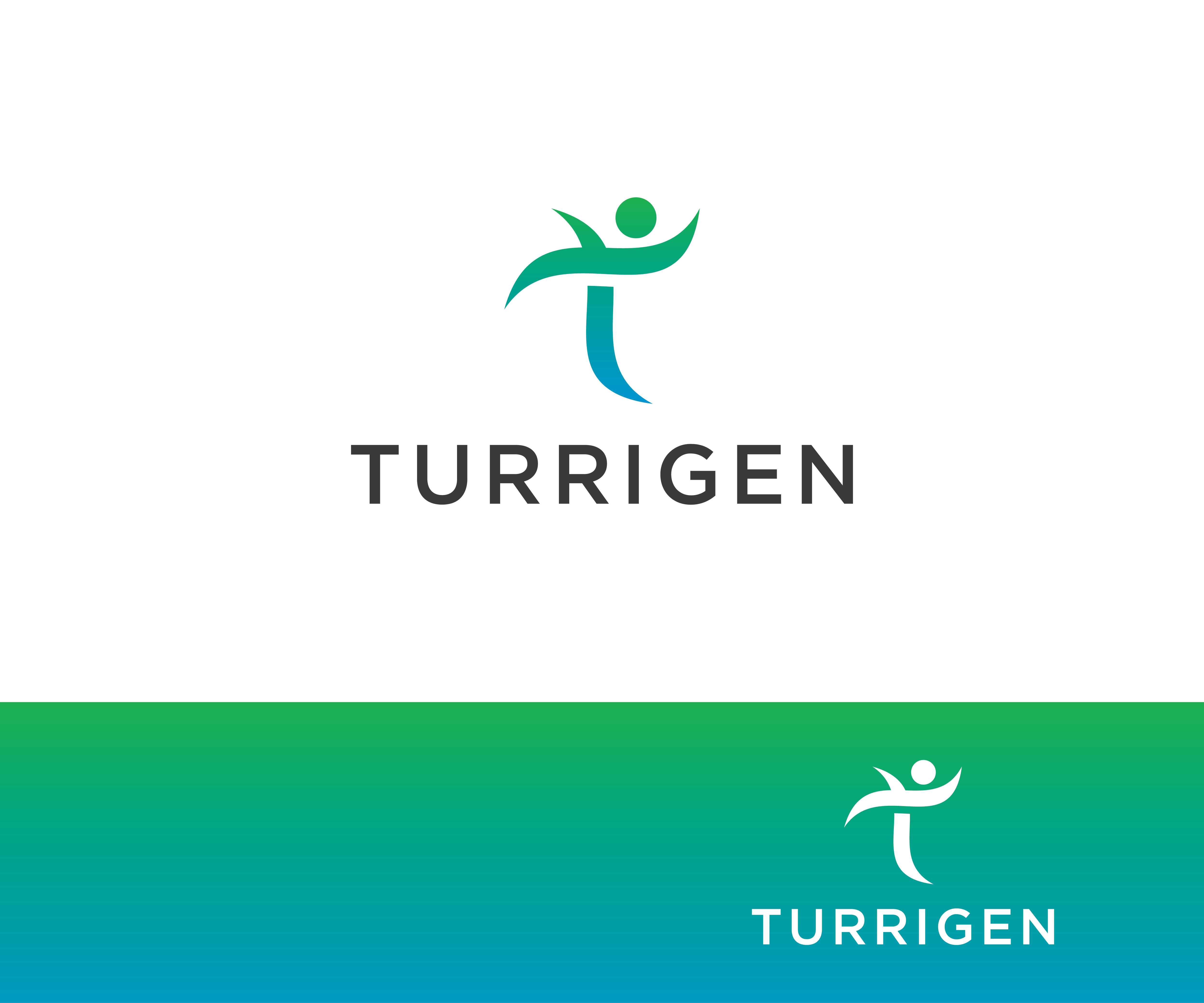 Logo Design by FT Marks Co. for this project | Design #34927832