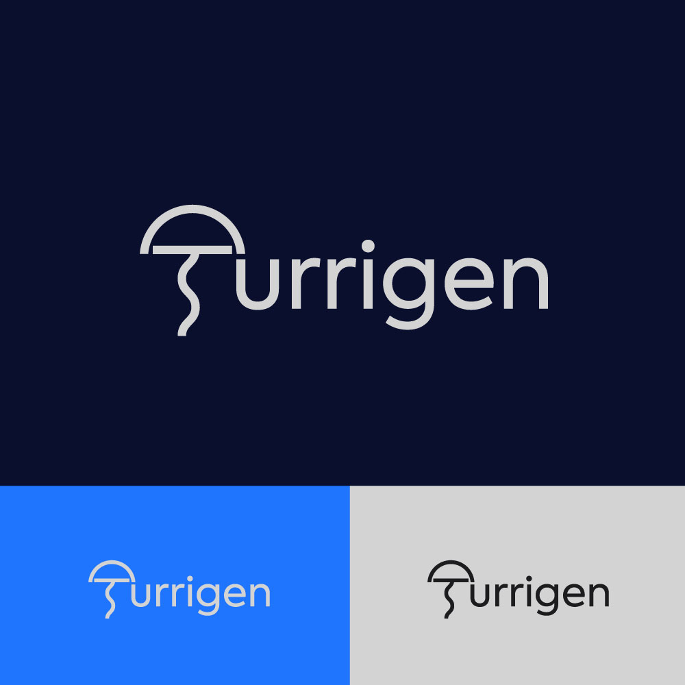 Logo Design by Krold IT Solutions for this project | Design #34919583