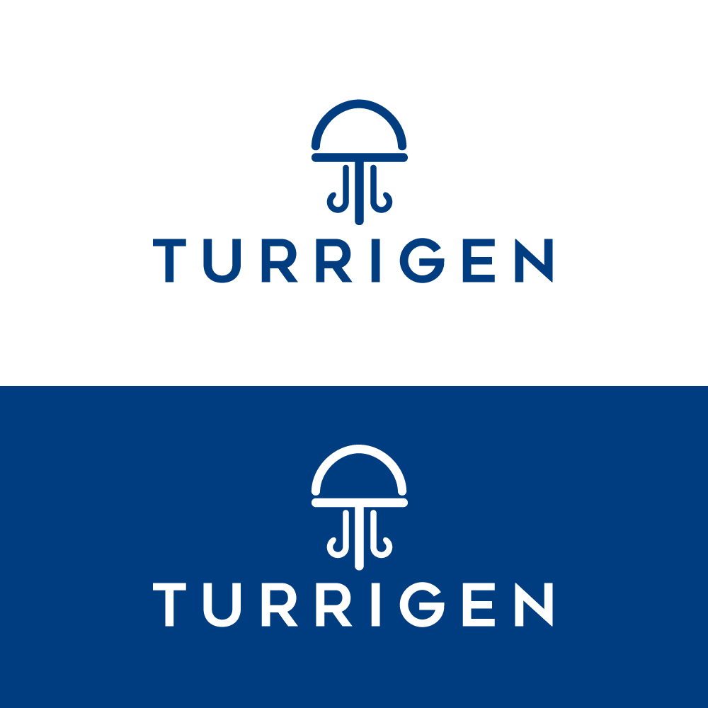 Logo Design by Krold IT Solutions for this project | Design #34919584