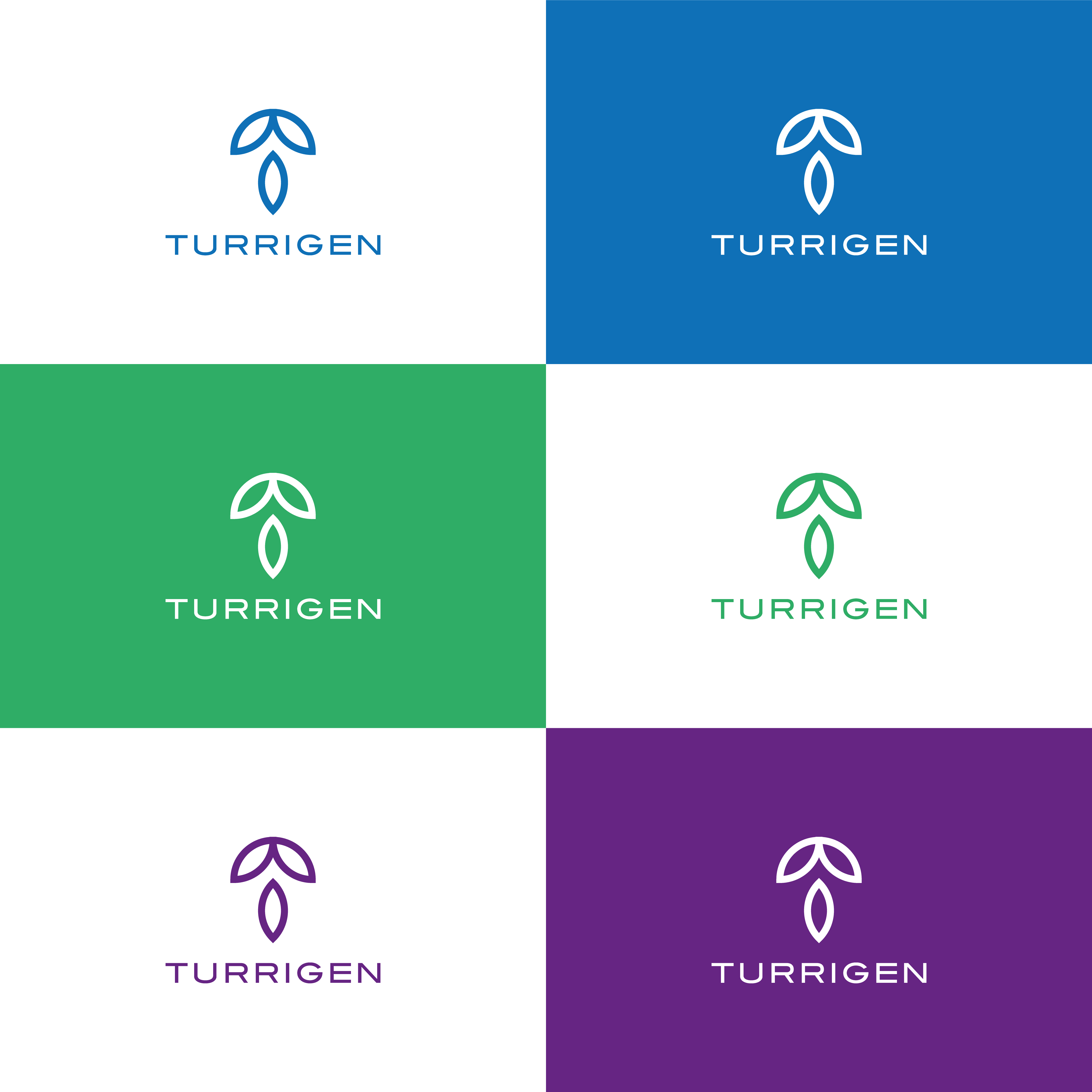 Logo Design by Miracle05.Design for this project | Design #34942032