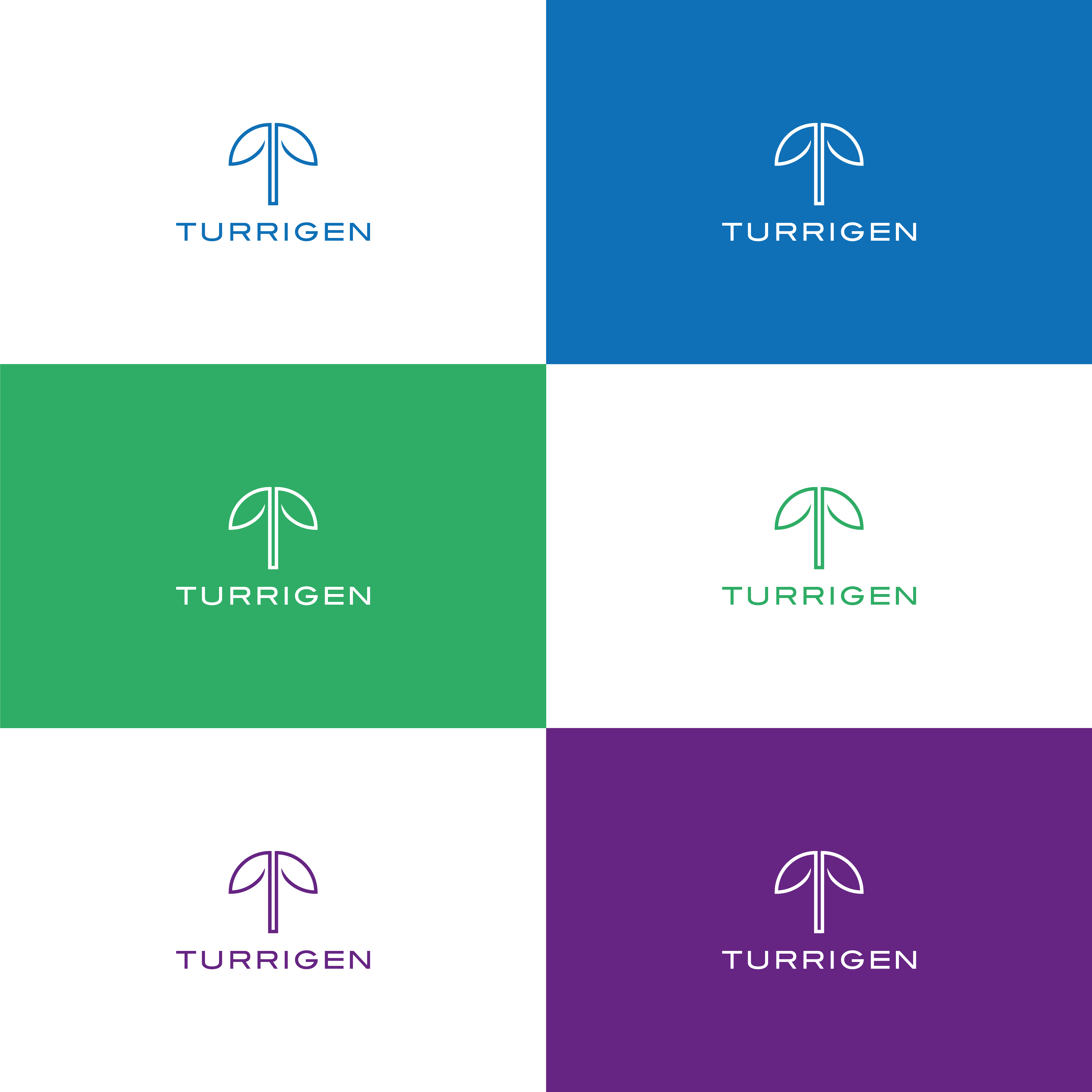 Logo Design by Miracle05.Design for this project | Design #34942045