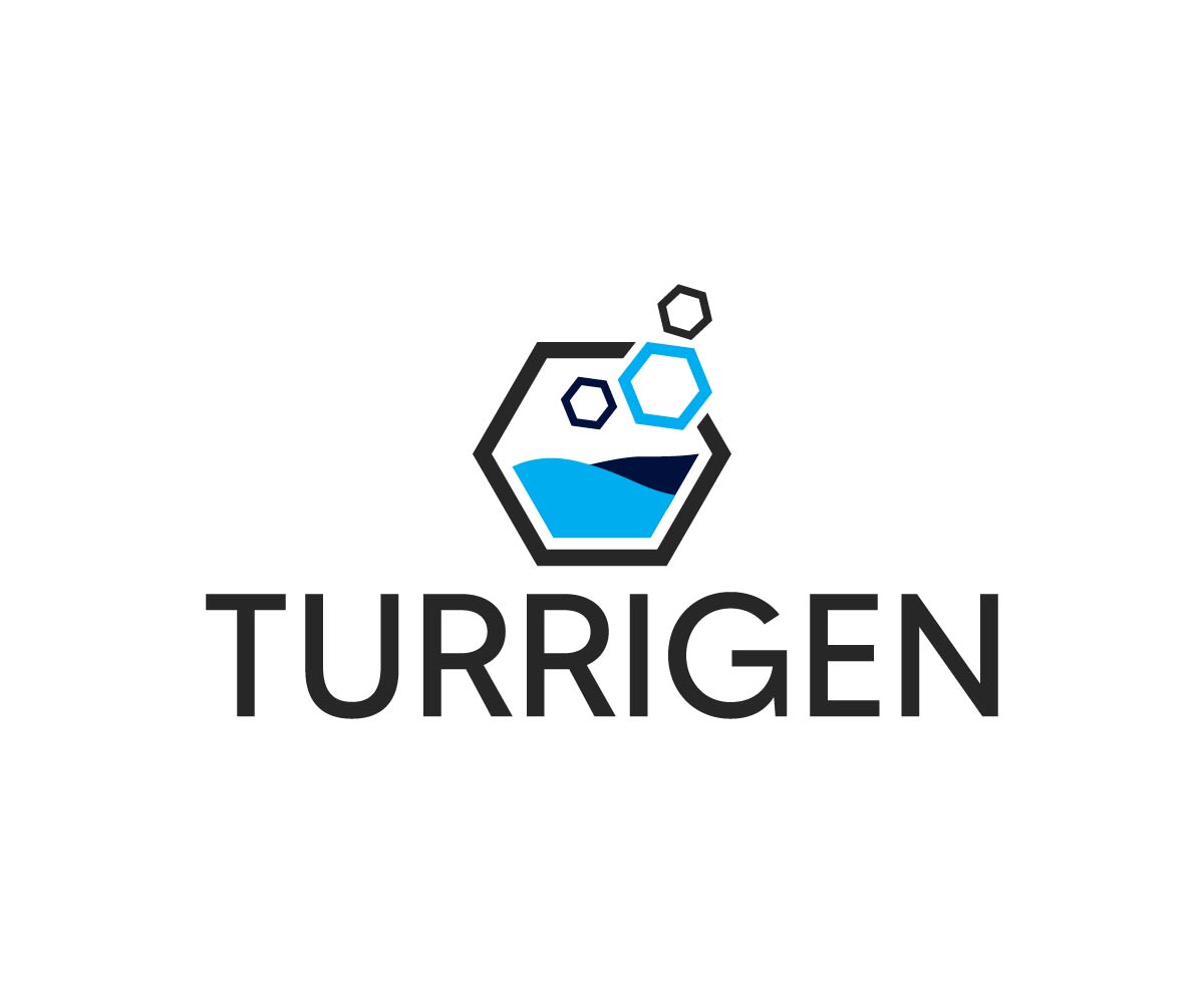 Logo Design by Ansh Design for this project | Design #34919075