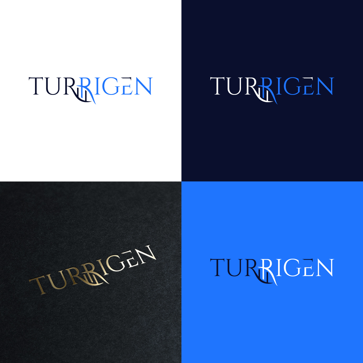 Logo Design by Radsky17 for this project | Design #34914715