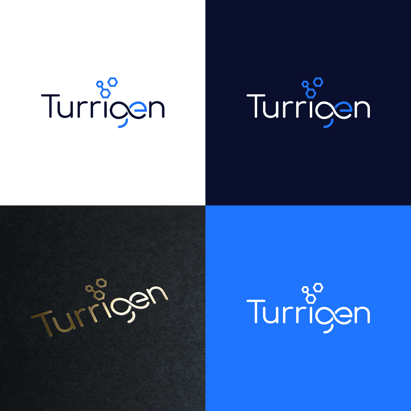 Diseño de Logo por Radsky17 para este proyecto | Diseño #34914717